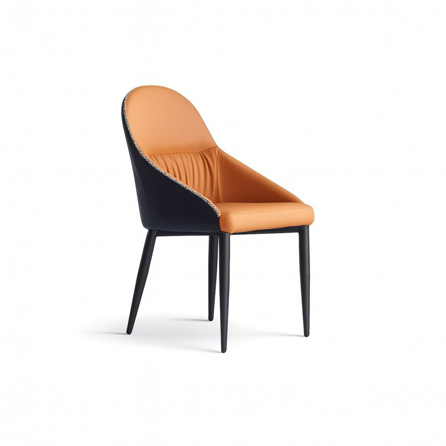 Ghế Janda chair DP-WC253 - Ảnh 2