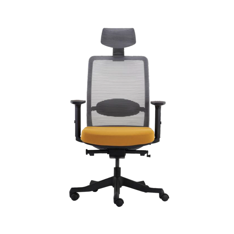Ergonomic Antu Chair RPB-GVP106