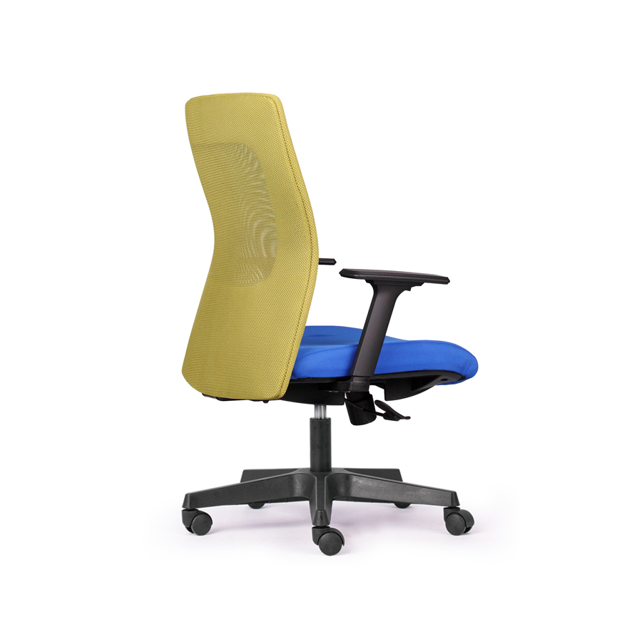 Ghế Tampa RPB-GVP111 - Ảnh 4