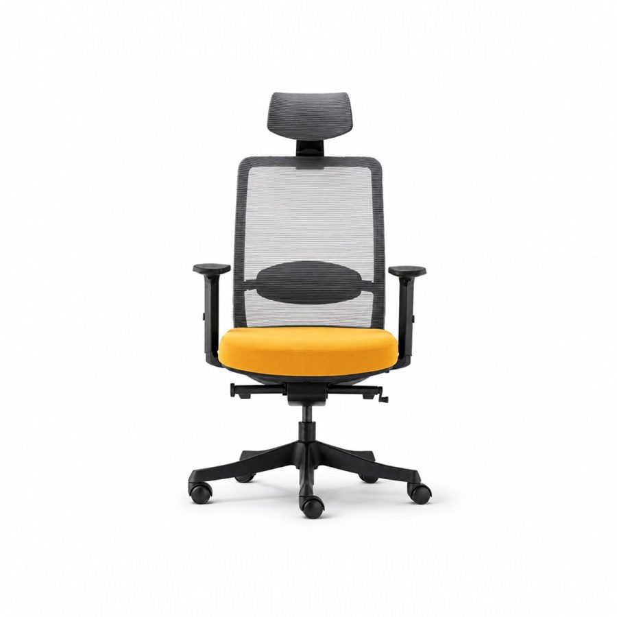 Ghế văn phòng công thái học Win Chair