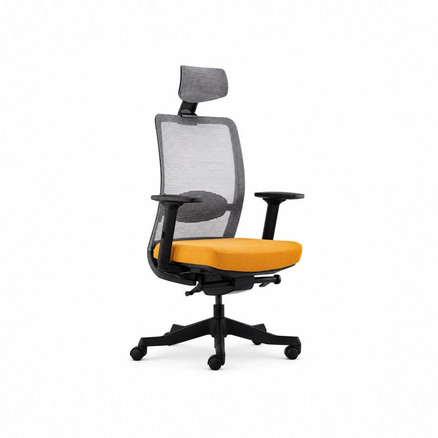 Ghế văn phòng công thái học Win Chair