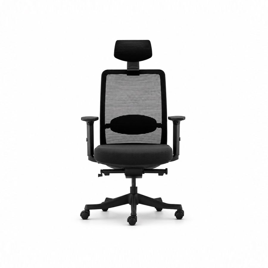 Ghế văn phòng công thái học Win Chair
