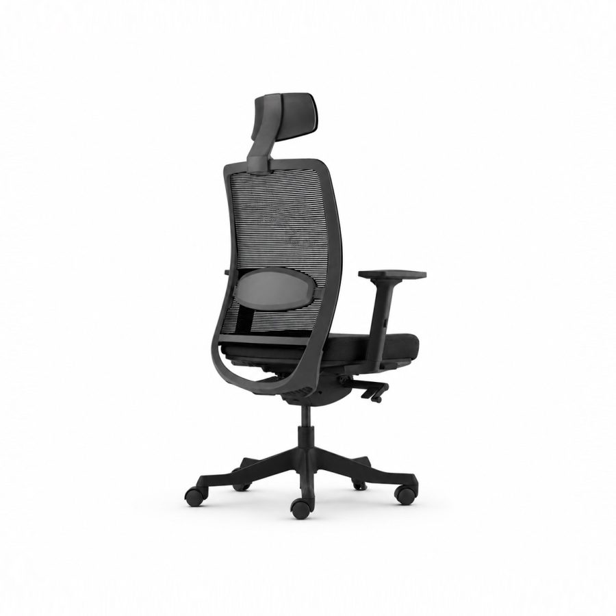 Ghế văn phòng công thái học Win Chair
