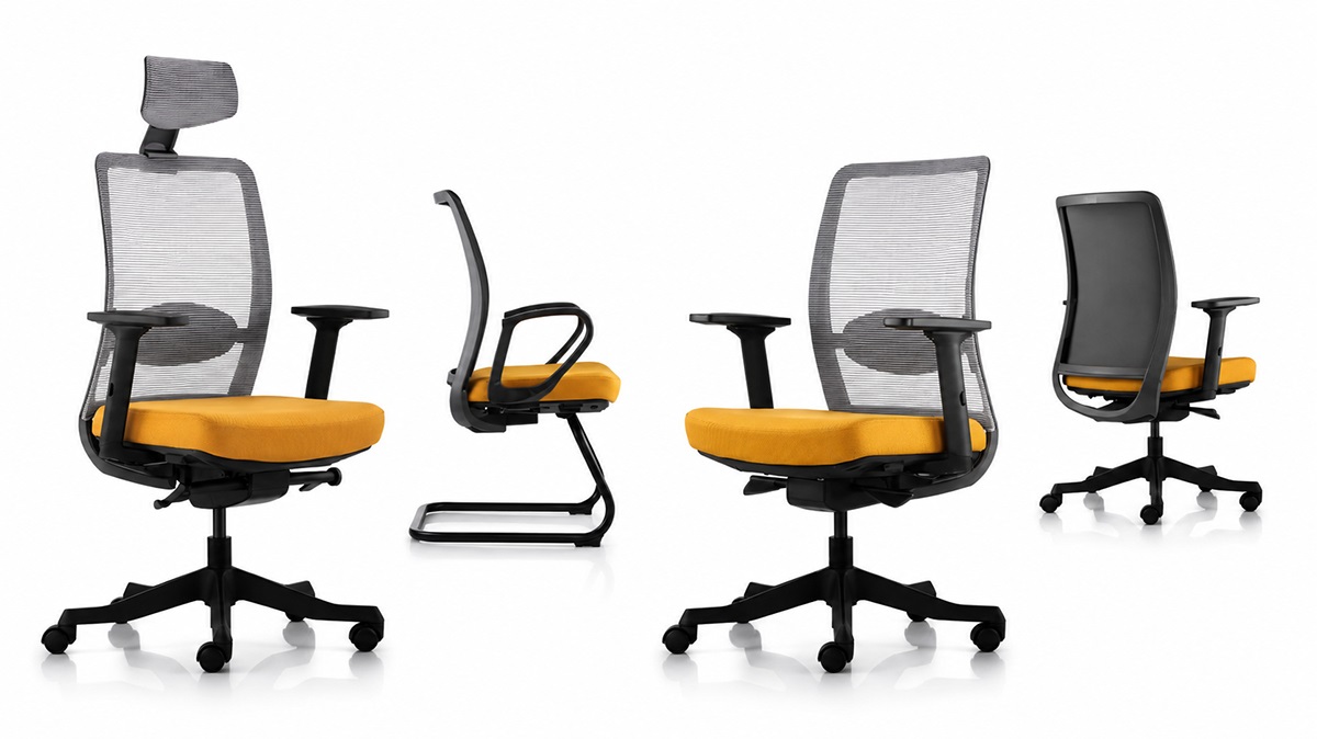 Ghế văn phòng công thái học Win Chair