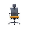 Ghế Ergonomic Farm RPB-GVP152