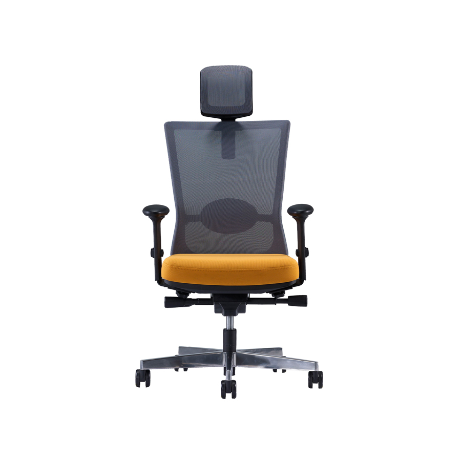 Ghế Ergonomic Farm RPB-GVP152