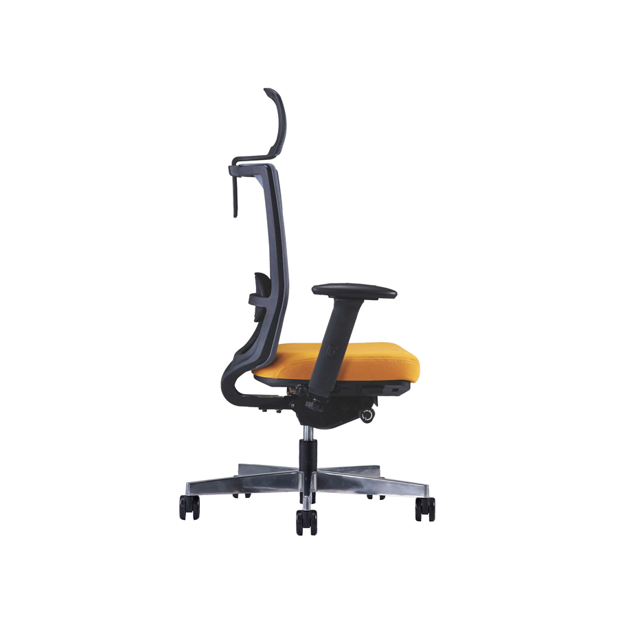 Alternative view of Ghế Ergonomic Farm RPB-GVP152