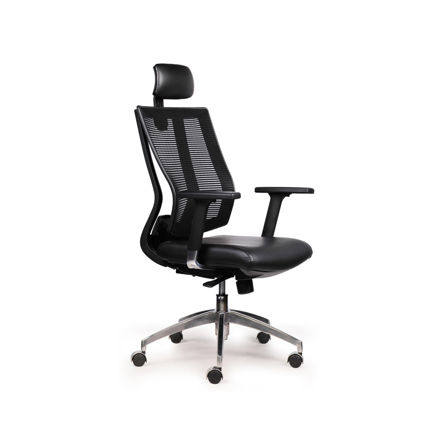 Alternative view of Ghế Ergonomic Premier RPB-GVP149