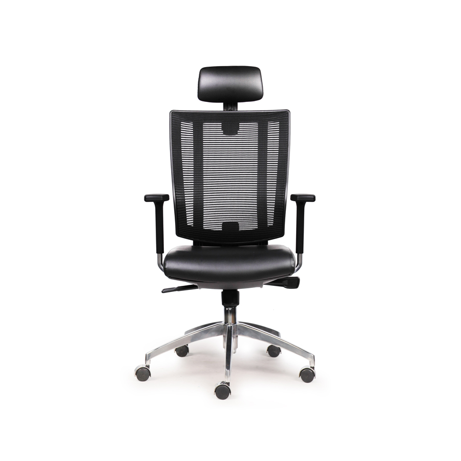 Ghế Ergonomic Premier RPB-GVP149