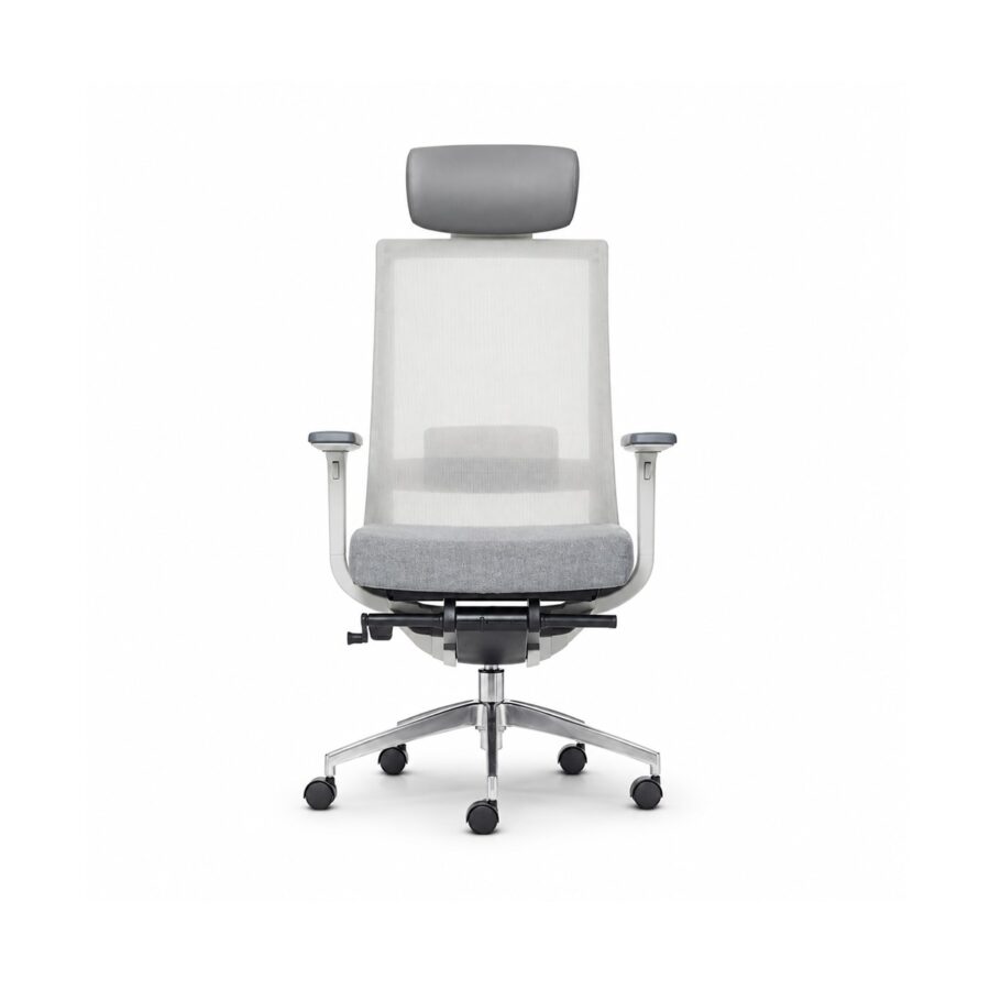 Ghế Văn Phòng Công Thái Học Win Chair