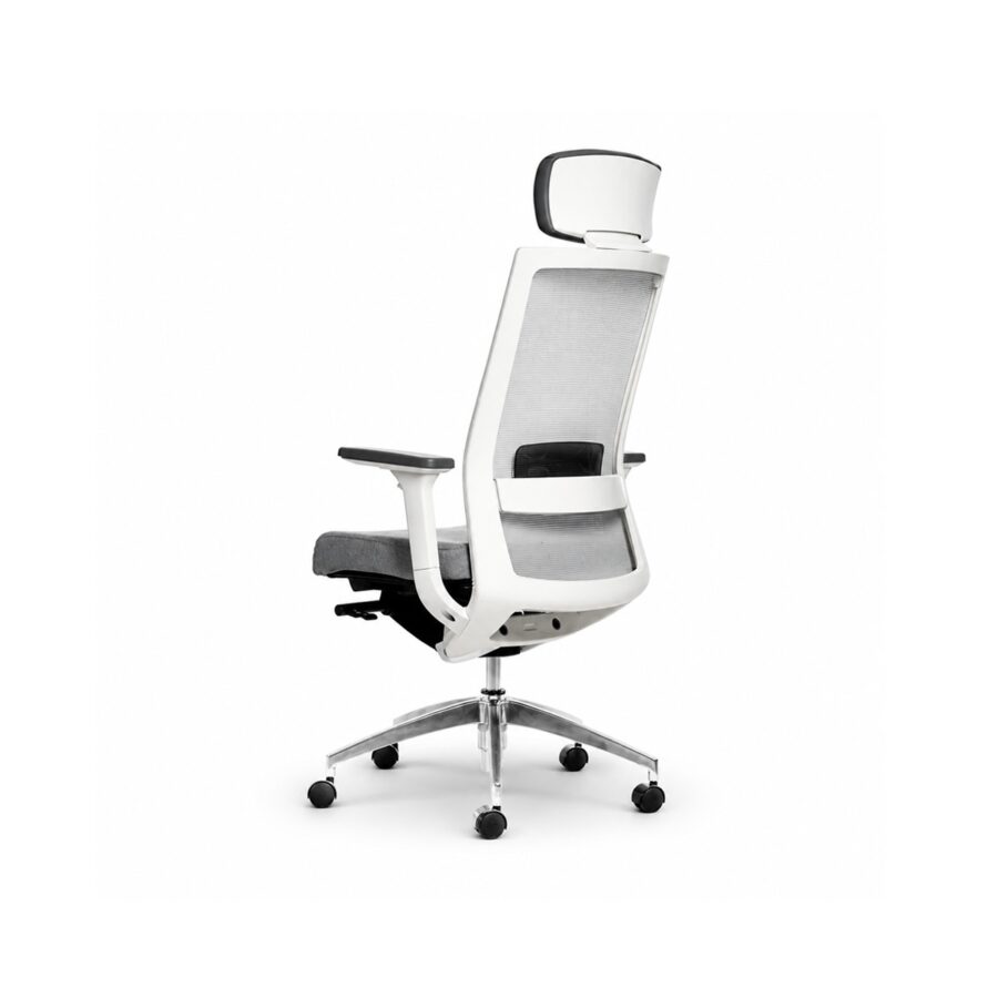 Ghế Văn Phòng Công Thái Học Win Chair