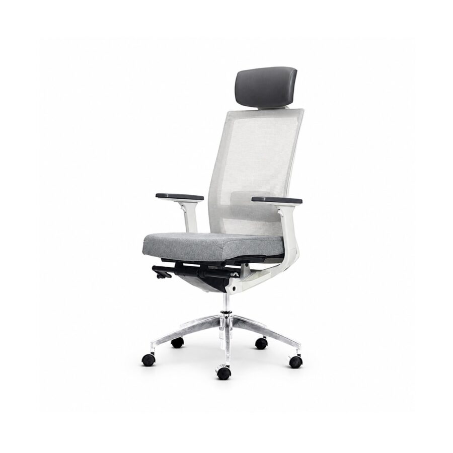 Ghế Văn Phòng Công Thái Học Win Chair