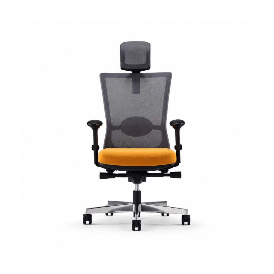 Ghế Văn Phòng Công Thái Học RPB-GVP152