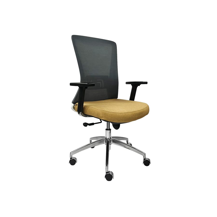 Ghế Aloha GVP253