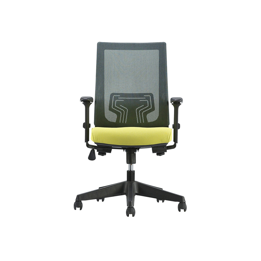 Ghế Neson RPB-GVP263