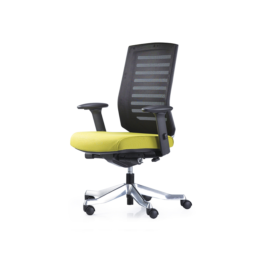 Ghế Vita RPB-GVP266