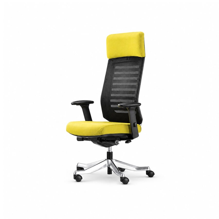 Ghế Văn Phòng Hiện Đại Cao Cấp RPB-GVP267