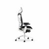Ghế Văn Phòng Công Thái Học Win Chair