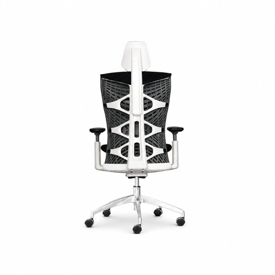 Ghế Văn Phòng Công Thái Học Win Chair