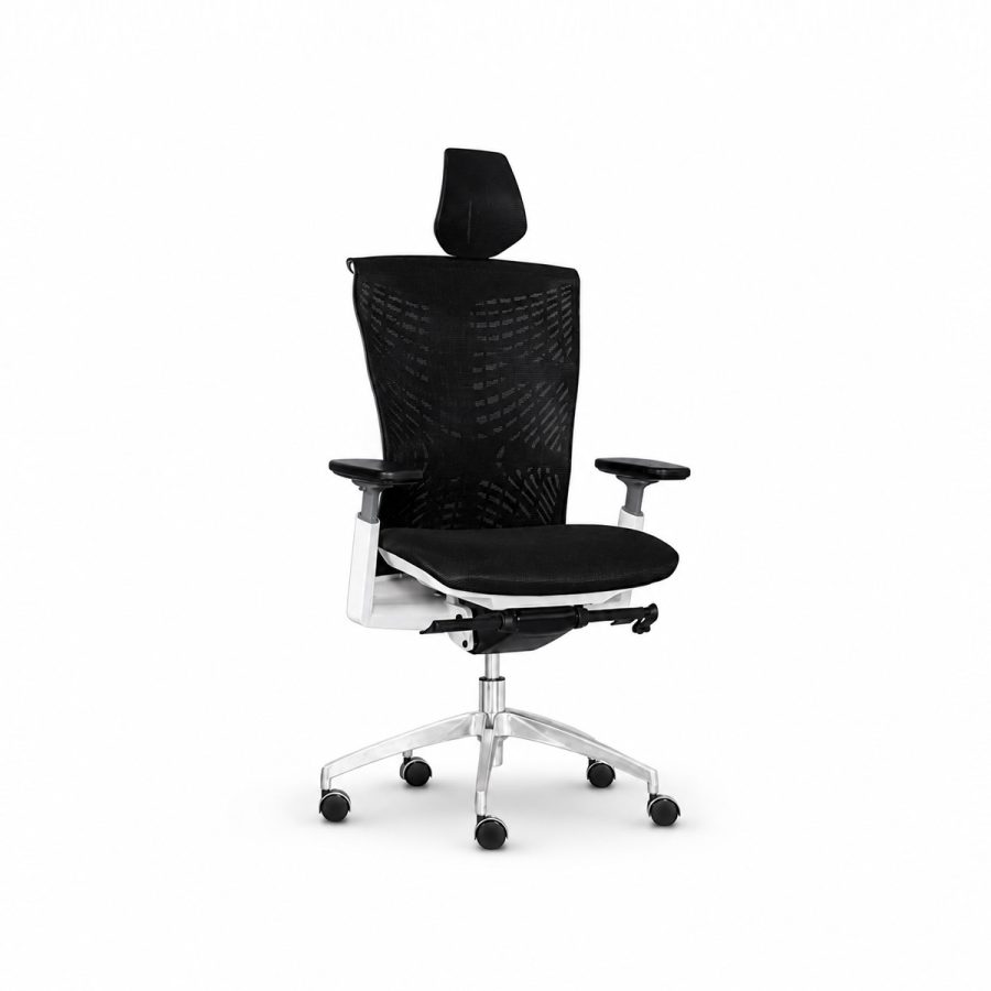 Ghế Văn Phòng Công Thái Học Win Chair