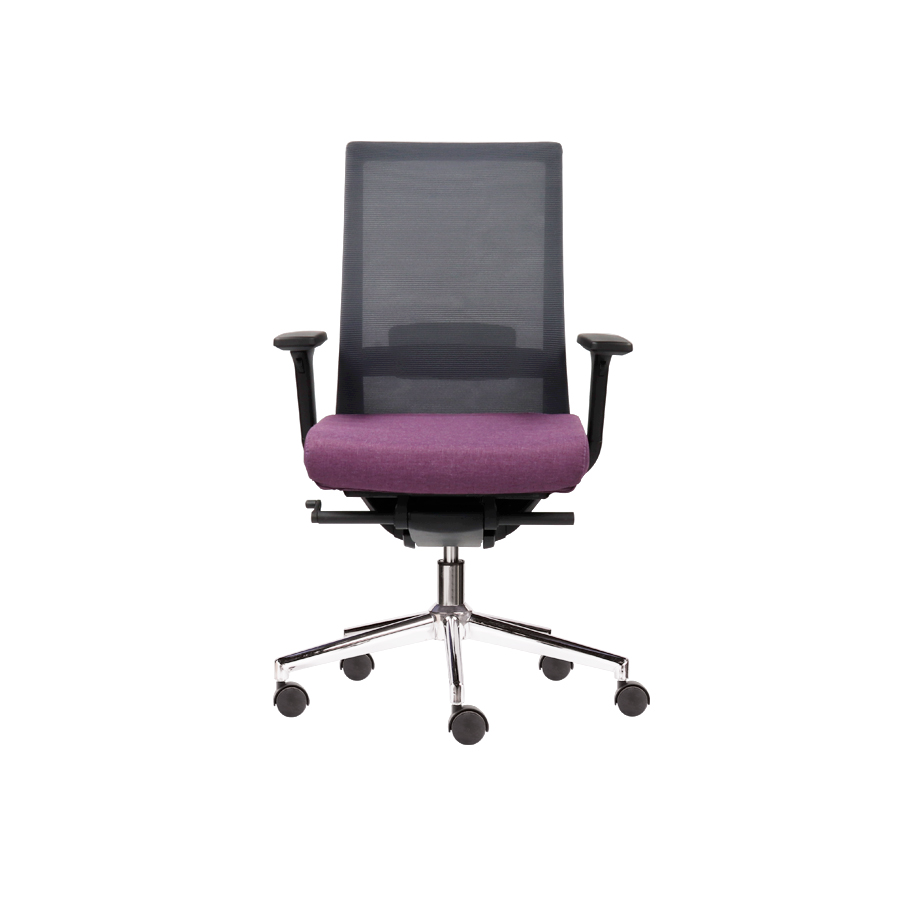 Ghế RPB-WC1004