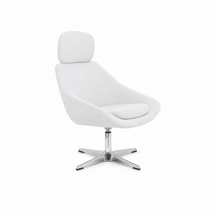 Ghế Tiếp Khách Sang Trọng Win Chair