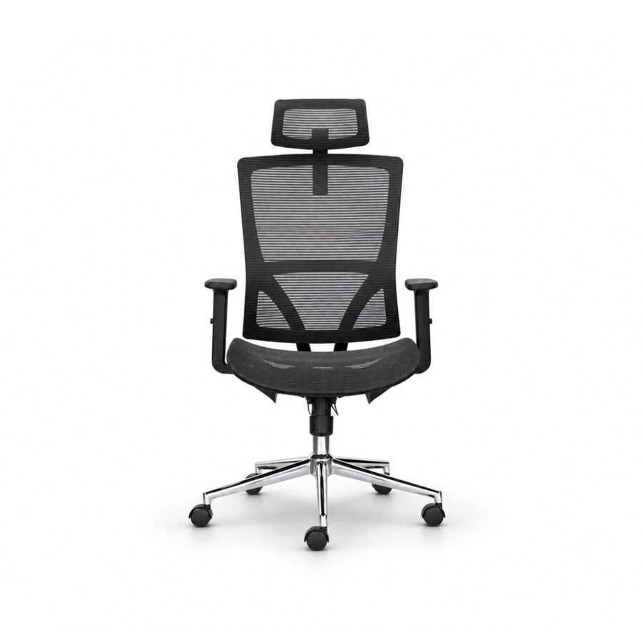Ghế Văn Phòng Công Thái Học Lưng Lưới RPB-WC209