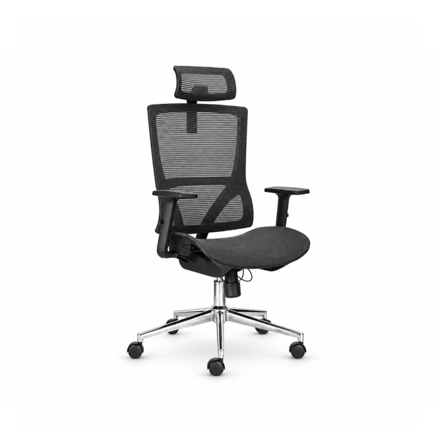 Ghế Văn Phòng Công Thái Học Lưng Lưới RPB-WC209