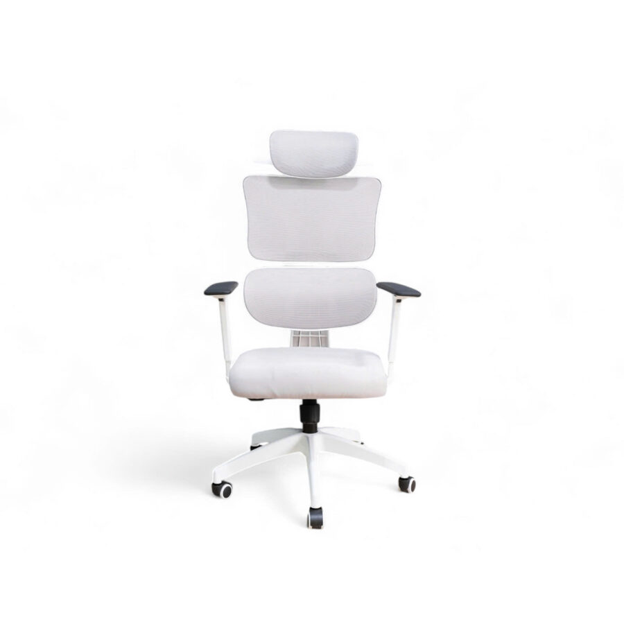 Ghế công thái học AK-WC896