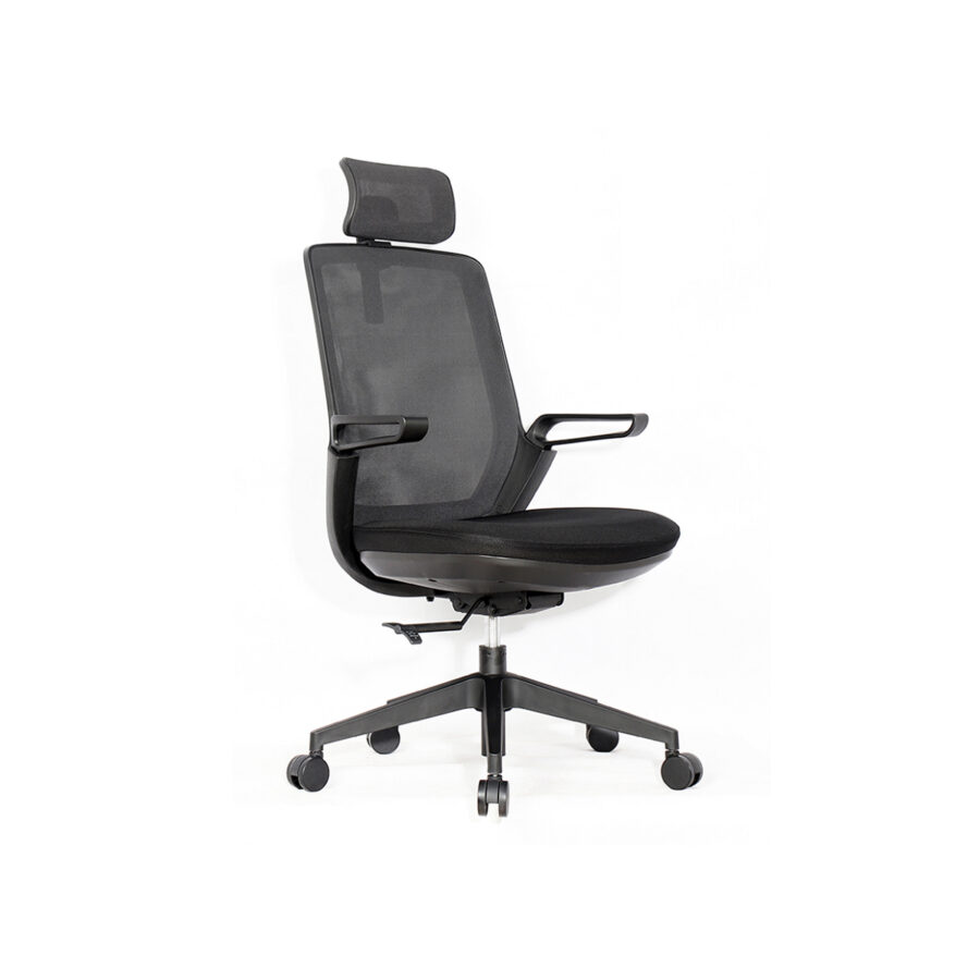 Ghế DOLICE 01 OS-WC956