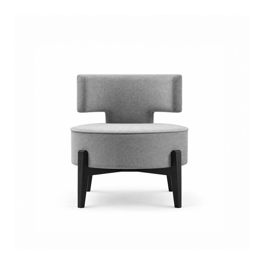 Ghế Bành Thư Giãn Hiện Đại FM-WC4101