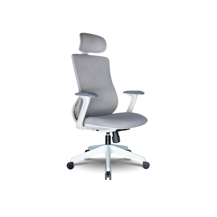Ghế Công Thái Học DF-WC4000 - Ảnh 3