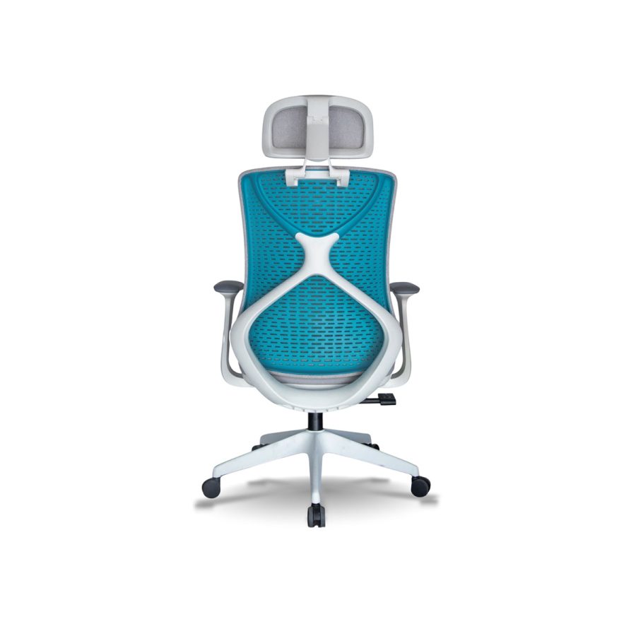 Ghế Công Thái Học DF-WC4000 - Ảnh 4