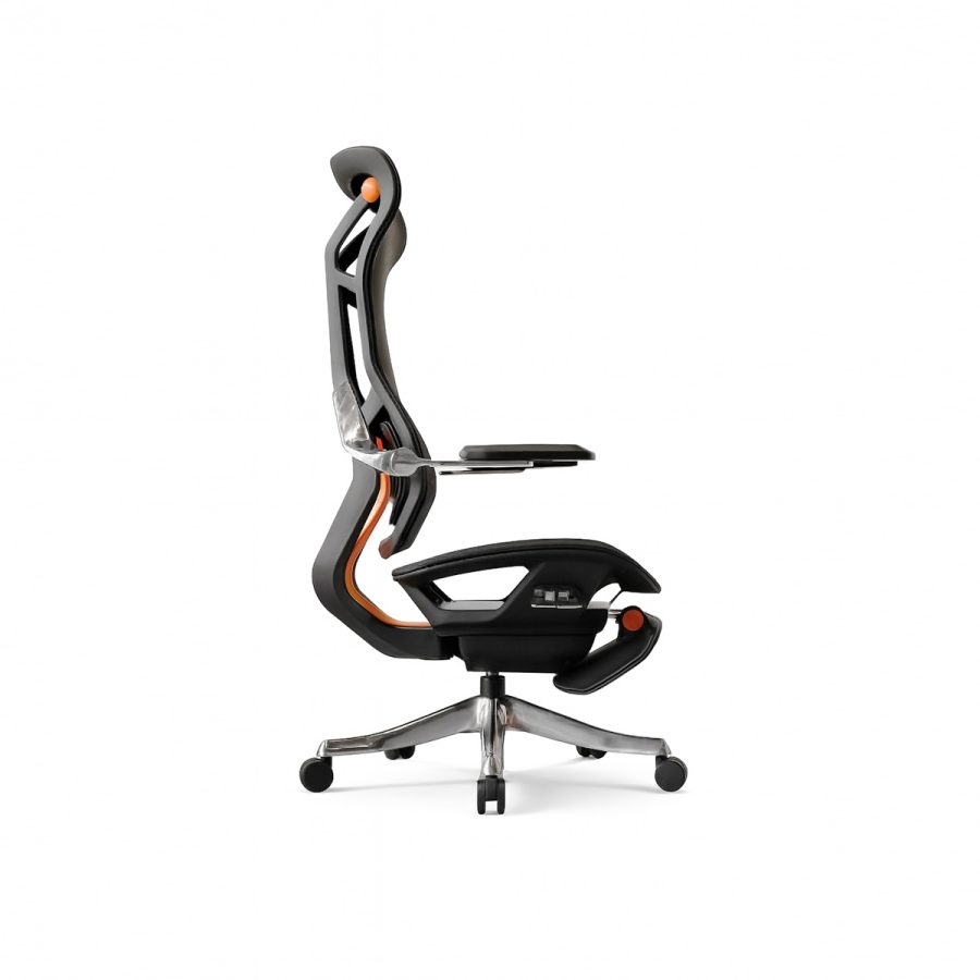 Ghế Công Thái Học DF-WC4004 - Ảnh 3