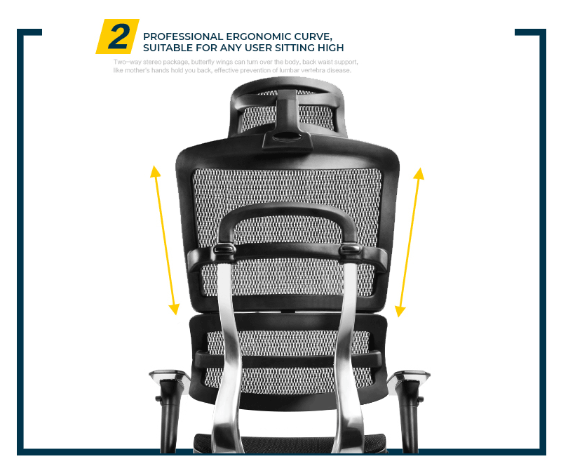 Ghế công thái học là gì