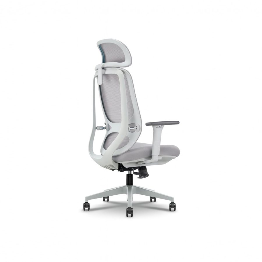 Ghế Văn Phòng Công Thái Học DF-WC4003 - Ảnh 3