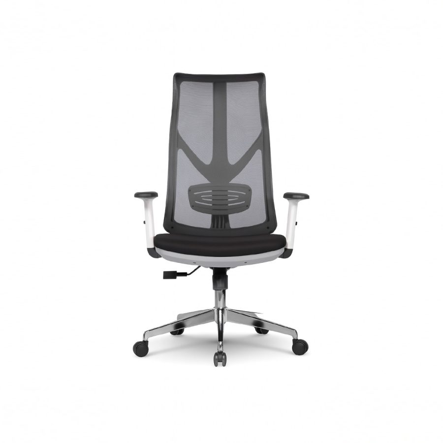 Ghế Văn Phòng Công Thái Học DF-WC4010 - Ảnh 3