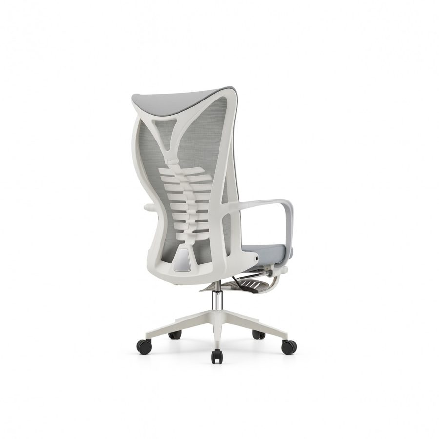 Ghế Văn Phòng Công Thái Học DF-WC4016 - Ảnh 2