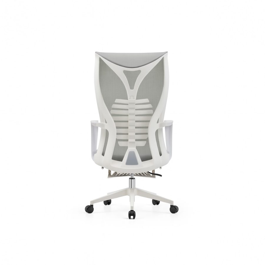 Ghế Văn Phòng Công Thái Học DF-WC4016 - Ảnh 5