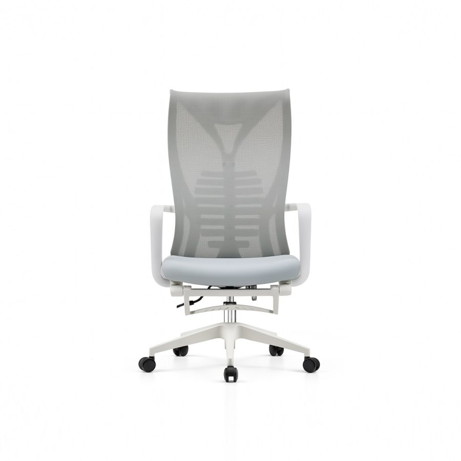 Ghế Văn Phòng Công Thái Học DF-WC4016 - Ảnh 4