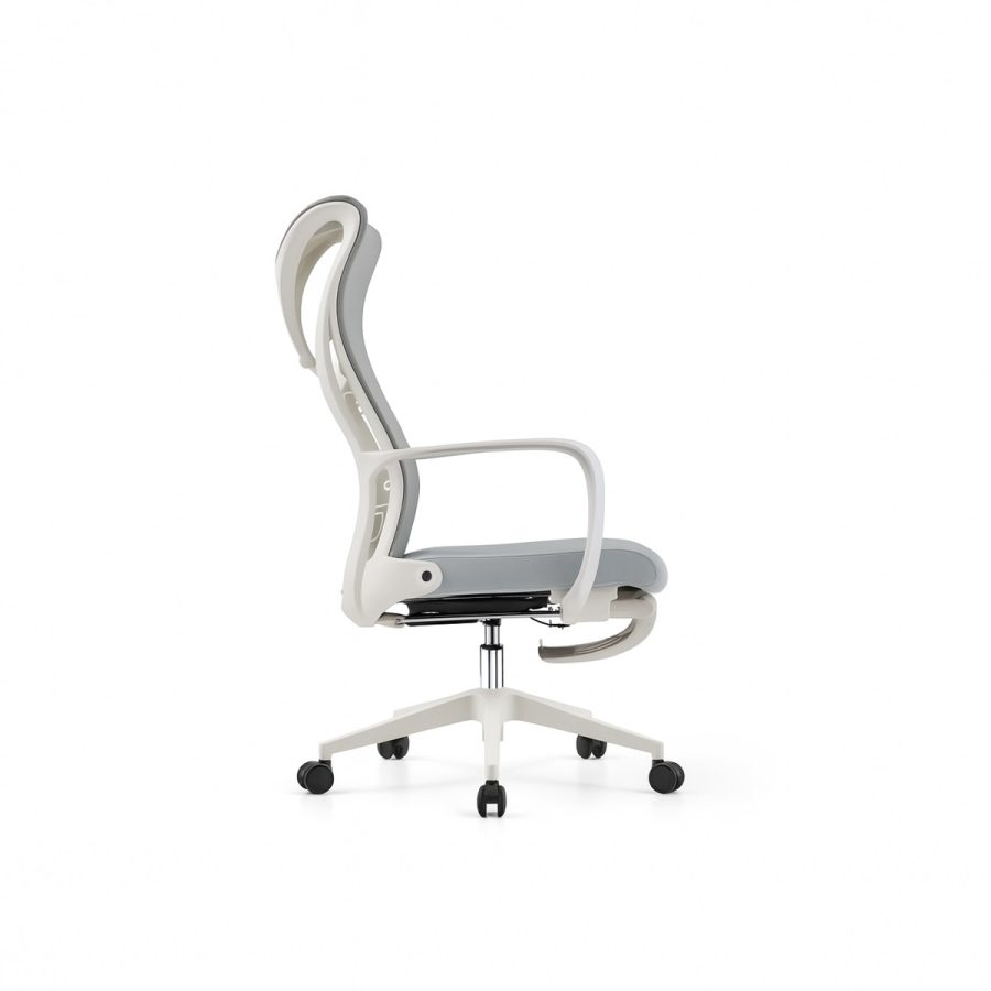 Ghế Văn Phòng Công Thái Học DF-WC4016 - Ảnh 3