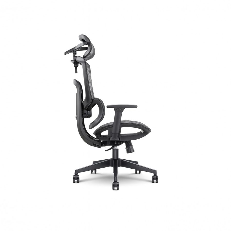 Ghế Văn Phòng Công Thái Học DF-WC4017
