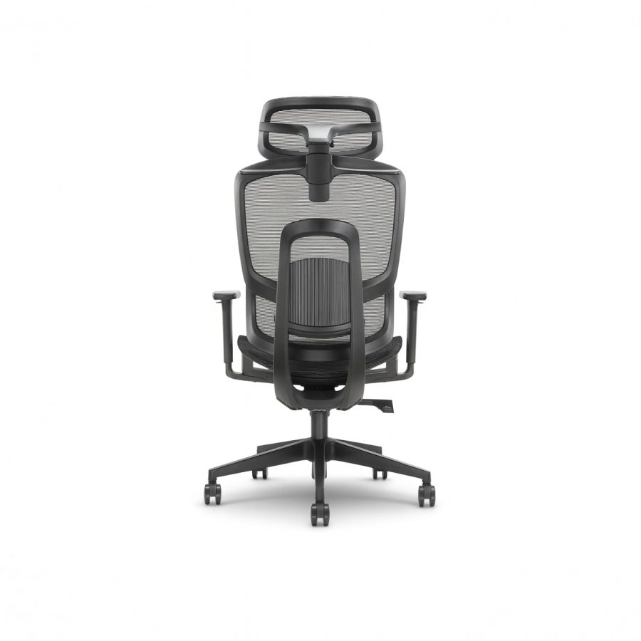 Ghế Văn Phòng Công Thái Học DF-WC4017 - Ảnh 2