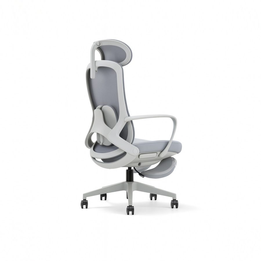 Ghế Văn Phòng Công Thái Học DF-WC4023 - Ảnh 10