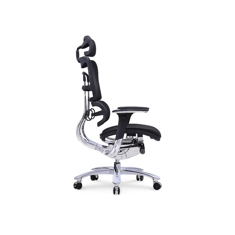 Ghế công thái học WIN CHAIR