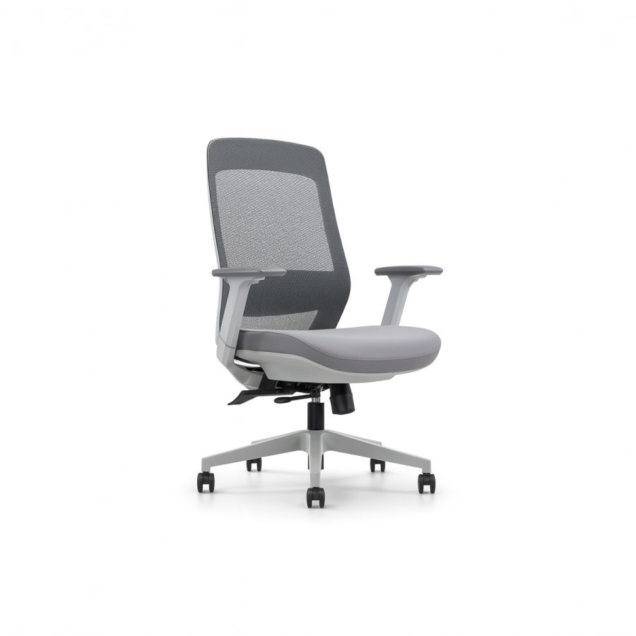 Ghế Văn Phòng Công Thái Học DF-WC4093