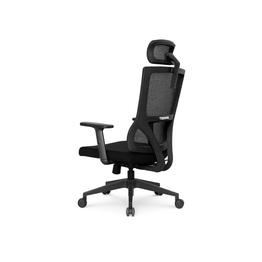 Ghế Văn Phòng Công Thái Học DF-WC4048 - Ảnh 4
