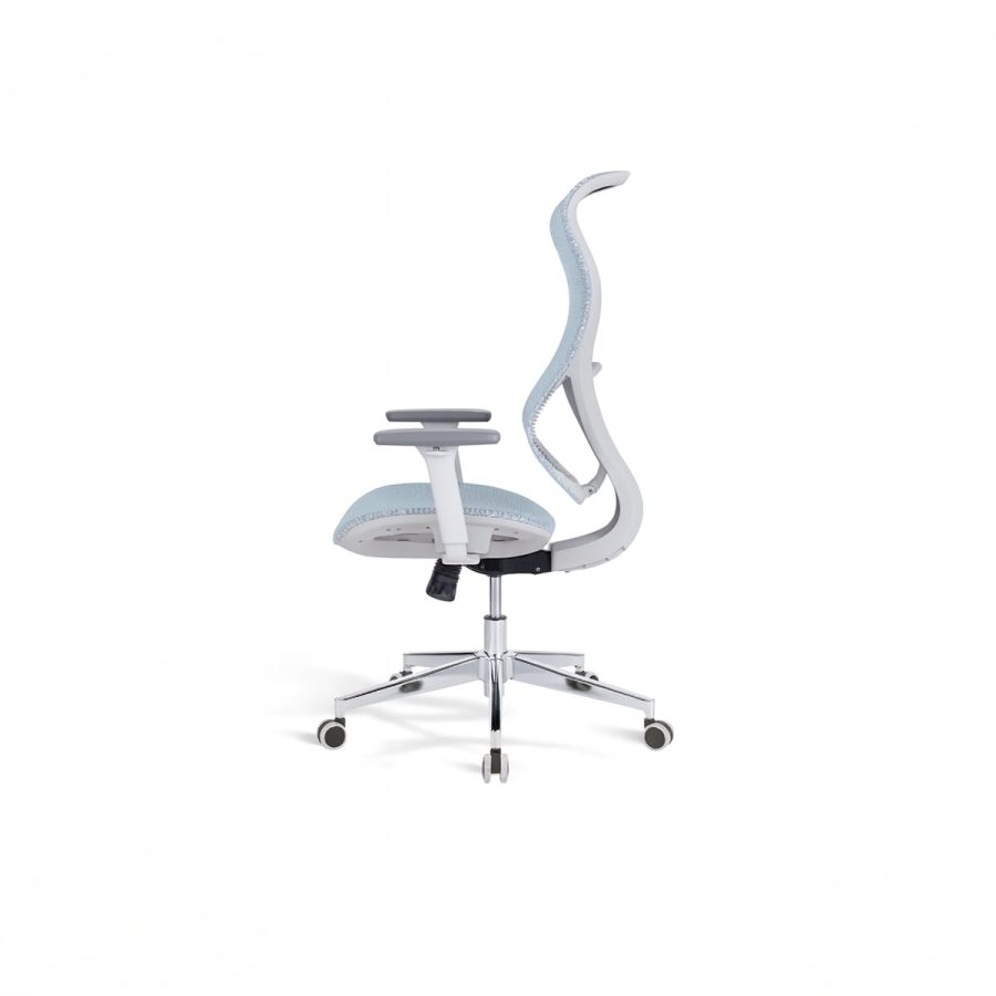 Ghế văn phòng công thái học WIN CHAIR