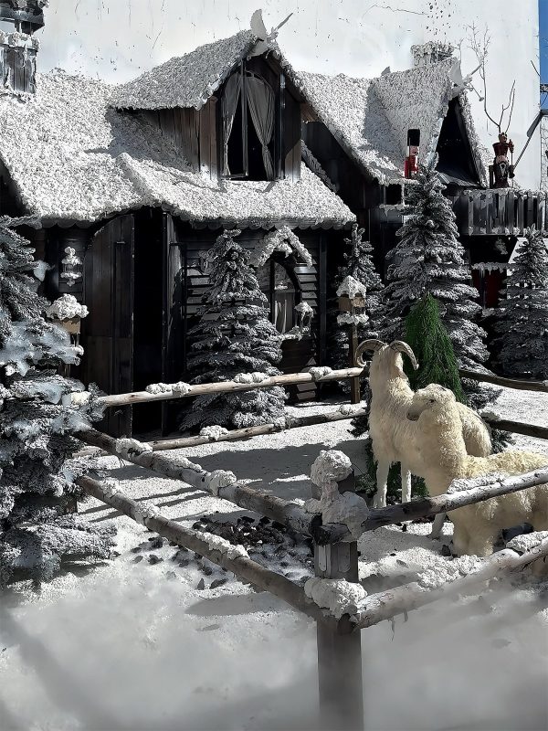 Check in noel tại Hỉn Coffee Quận 12