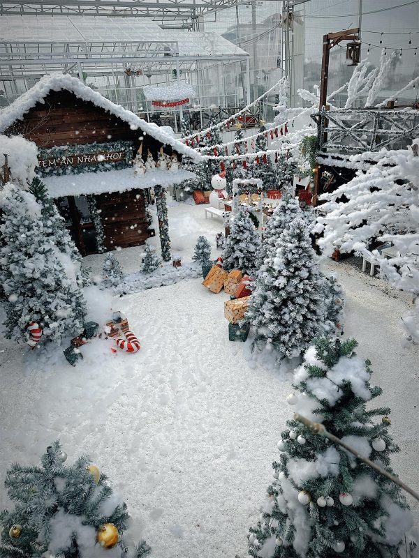 Điểm check in noel 2025 tại Thủ Đức